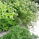 Florakis Гостевой дом 4*