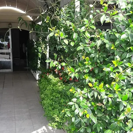 Florakis 4* Livanátai